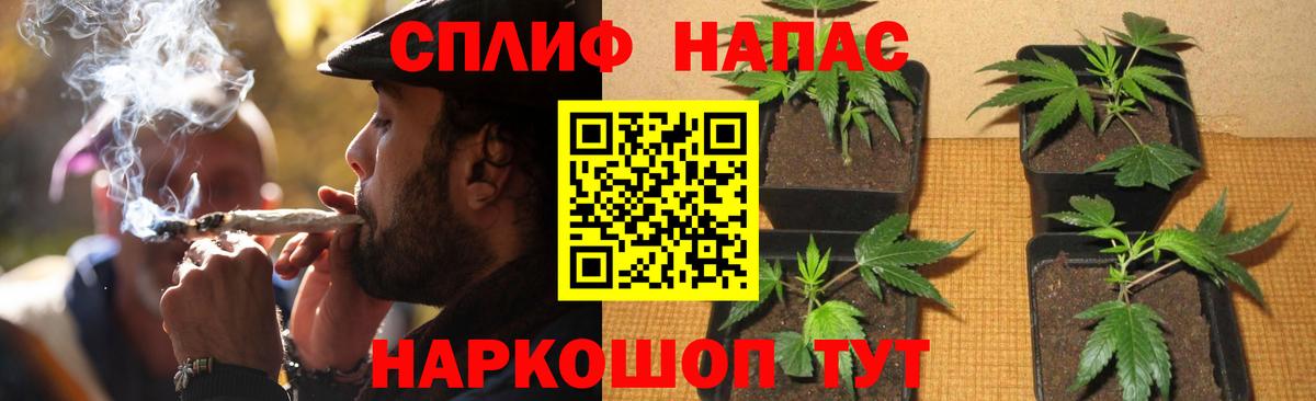 Бошки Шишки LSD WEED  Каннабис THC 21%  Вход с VPN  Кудрово  МАРИХУАНА Ganja 